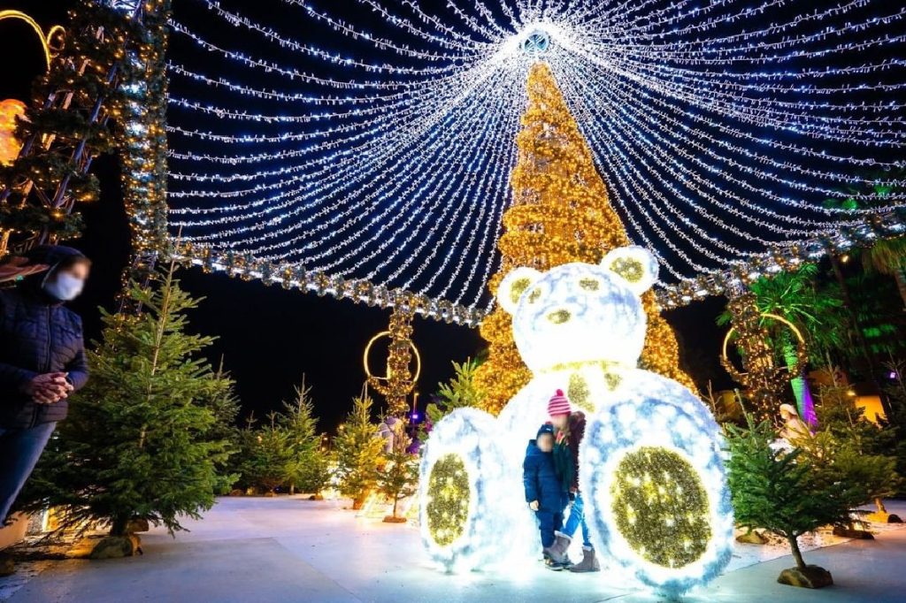 Christmas tree and Light